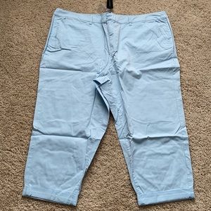 Lane Bryant crop pants light blue Size 26